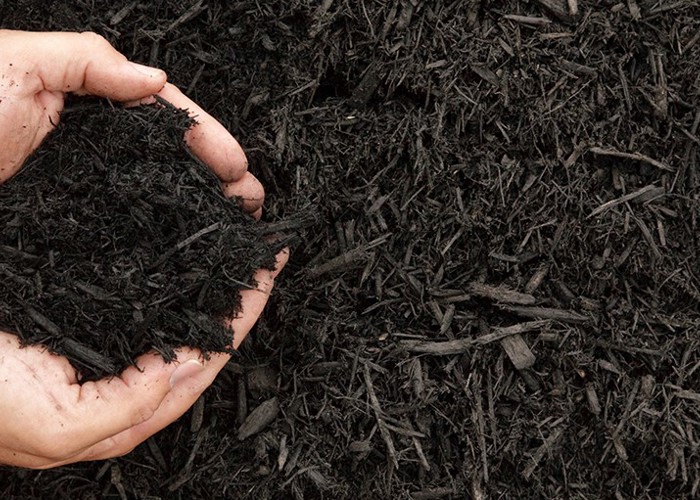 Compost Bestellen 1340X511px