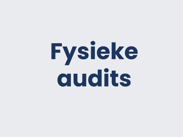 Fysieke Audits